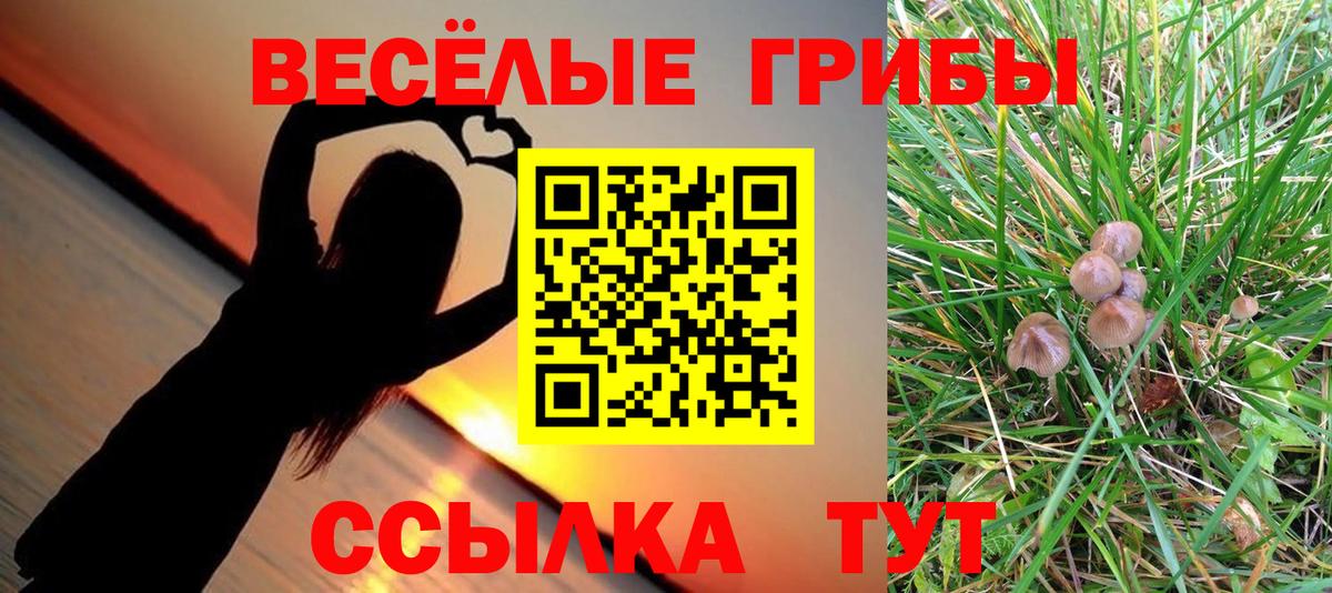 Галлюциногенные грибы MAGIC MUSHROOMS  Псилоцибиновые грибы Magic Shrooms  Нижний Новгород  Вход с VPN 